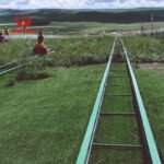 Grass Skiing Ride - Image 4